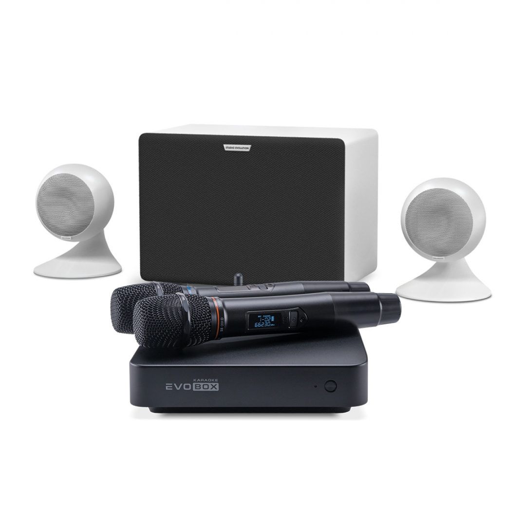 караоке-комплект EVOBOX Classic + EvoSound Sphere 2.1 в Ставрополе