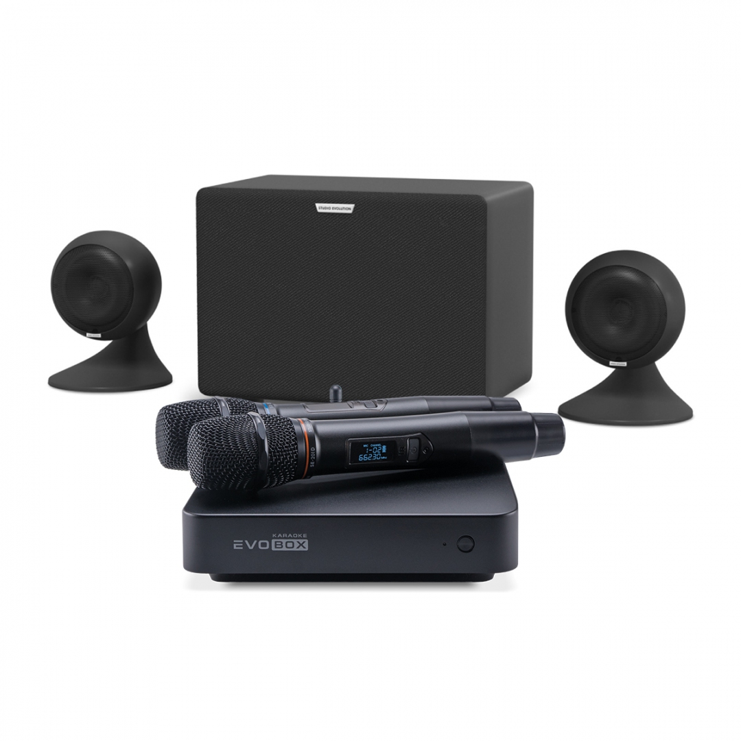 караоке-комплект EVOBOX Plus + EvoSound Sphere 2.1 в Ставрополе