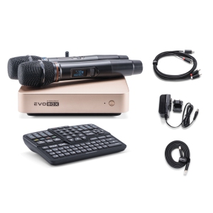 EVOBOX Classic караоке-система для дома в Ставрополе